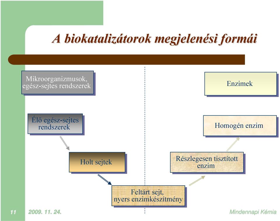 egész-sejtes rendszerek Homogén enzim Holt sejtek