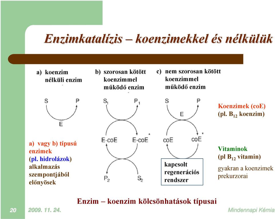 B 12 koenzim) a) vagy b) típusú enzimek (pl.