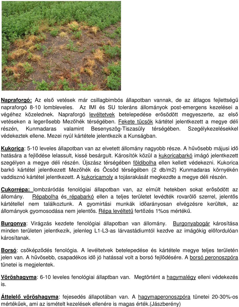 Fekete tücsök kártétel jelentkezett a megye déli részén, Kunmadaras valamint Besenyszög-Tiszasüly térségében. Szegélykezelésekkel védekeztek ellene. Mezei nyúl kártétele jelentkezik a Kunságban.