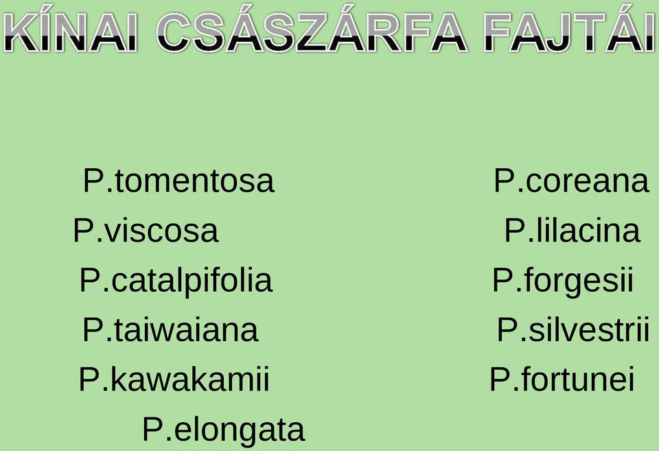 kawakamii P.elongata P.