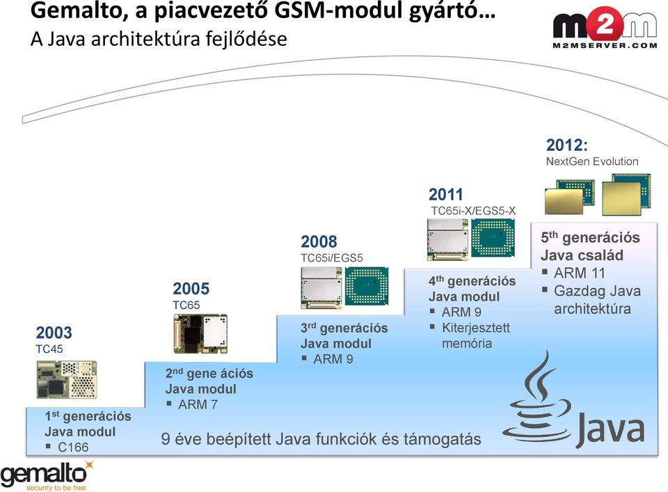 ARM 9 2011 TC65i-X/EGS5-X 4 th generációs Java modul ARM 9 Kiterjesztett memória 9 éve