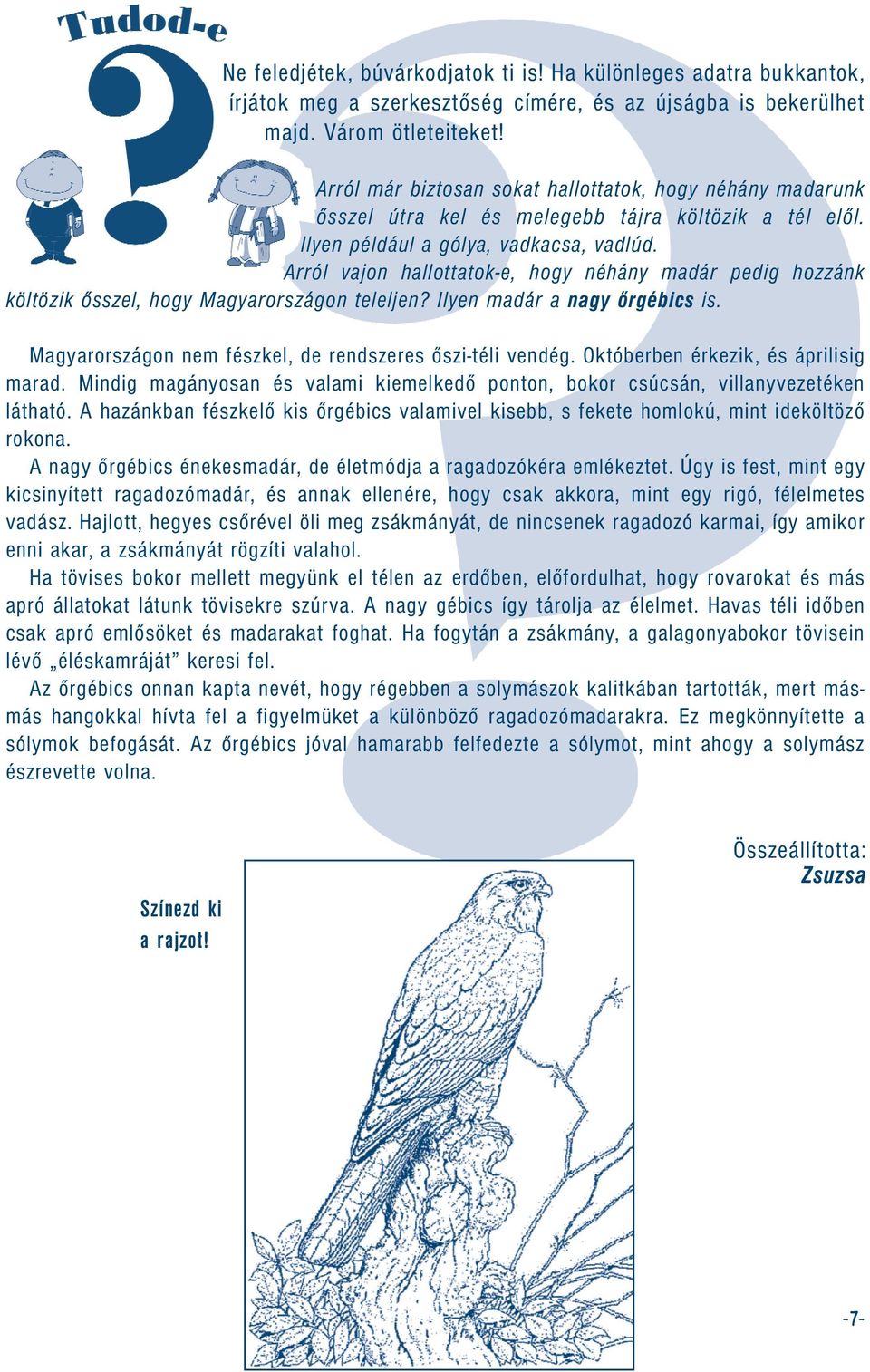 Arról vajon hallottatok-e, hogy néhány madár pedig hozzánk költözik ősszel, hogy Magyarországon teleljen? Ilyen madár a nagy őrgébics is. Magyarországon nem fészkel, de rendszeres őszi-téli vendég.