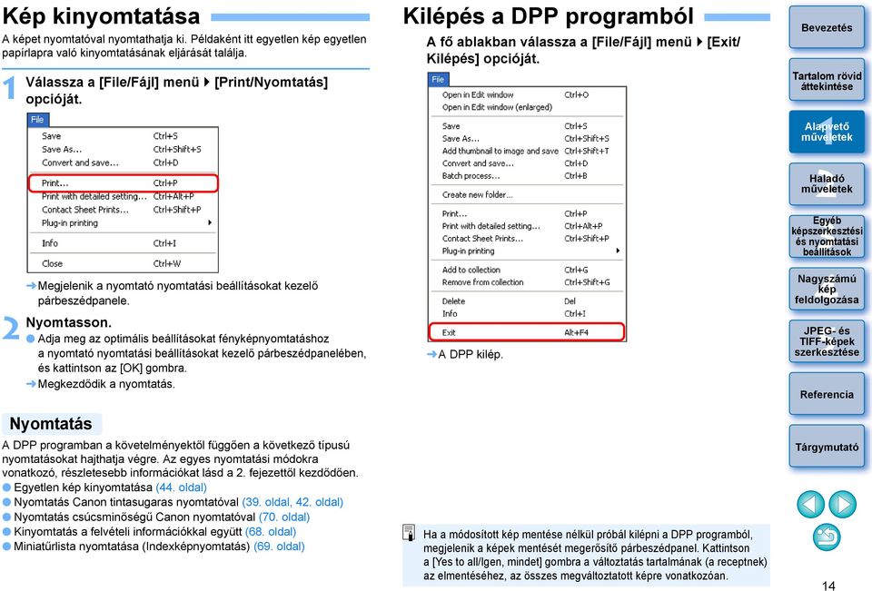 Megkezdődik a nyomtatás. Nyomtatás A DPP programban a követelményektől függően a következő típusú nyomtatásokat hajthatja végre.