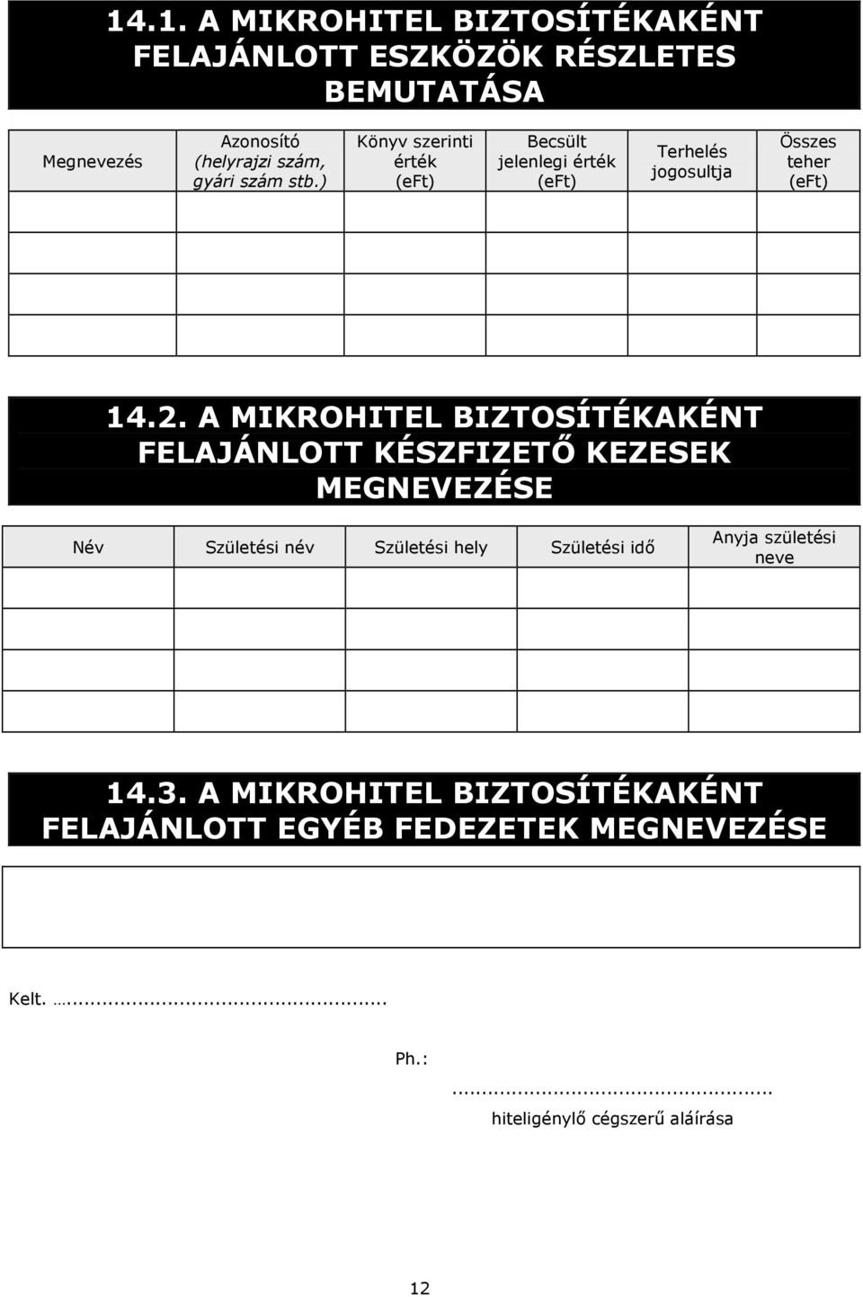 A MIKROHITEL BIZTOSÍTÉKAKÉNT FELAJÁNLOTT KÉSZFIZETŐ KEZESEK MEGNEVEZÉSE Név Születési név Születési hely Születési idő Anyja