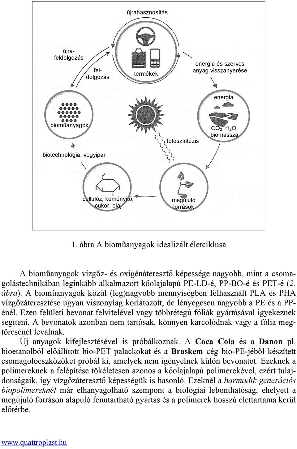 ábra A bioműanyagok idealizált életciklusa A bioműanyagok vízgőz- és oxigénáteresztő képessége nagyobb, mint a csomagolástechnikában leginkább alkalmazott kőolajalapú PE-LD-é, PP-BO-é és PET-é (2.