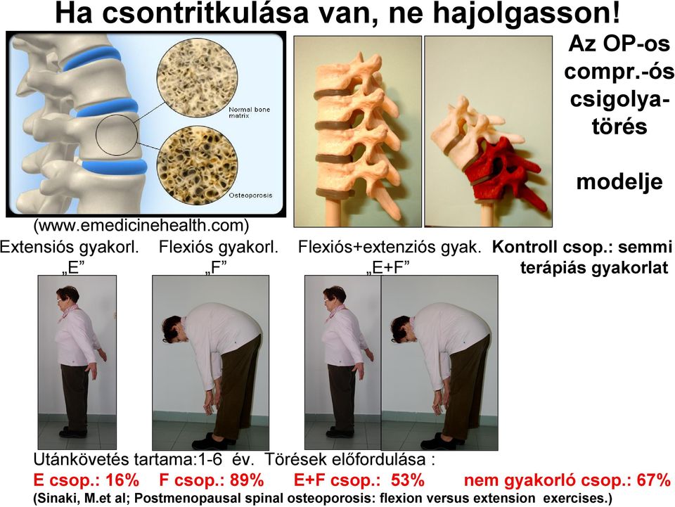 : semmi E F E+F terápiás gyakorlat Utánkövetés tartama:1-6 év. Törések előfordulása : E csop.: 16% F csop.