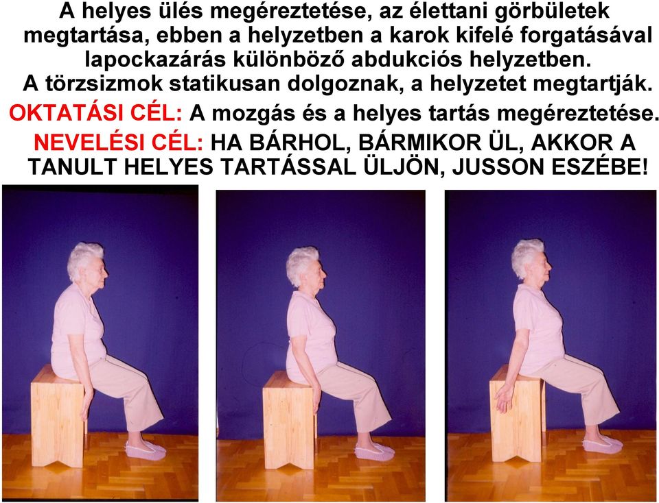 A törzsizmok statikusan dolgoznak, a helyzetet megtartják.