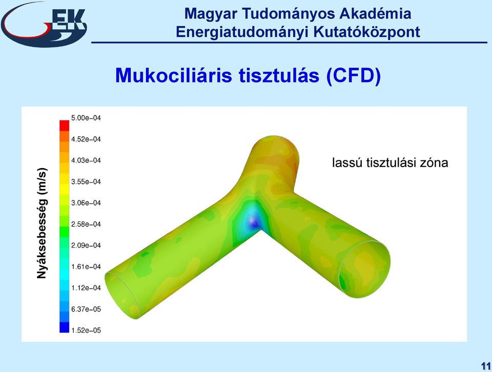 Akadémia Mukociliáris