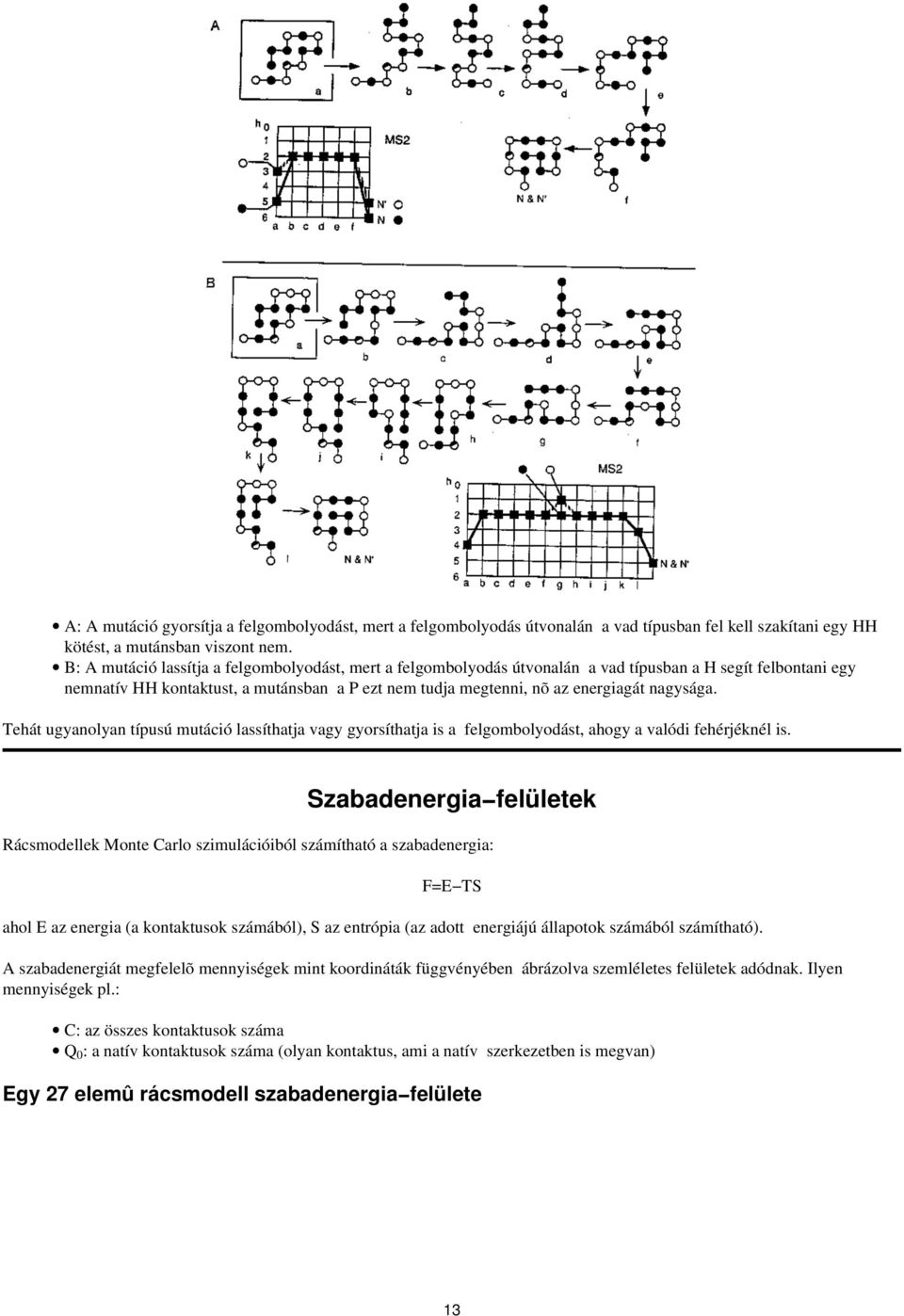 nagysága. Tehát ugyanolyan típusú mutáció lassíthatja vagy gyorsíthatja is a felgombolyodást, ahogy a valódi fehérjéknél is.