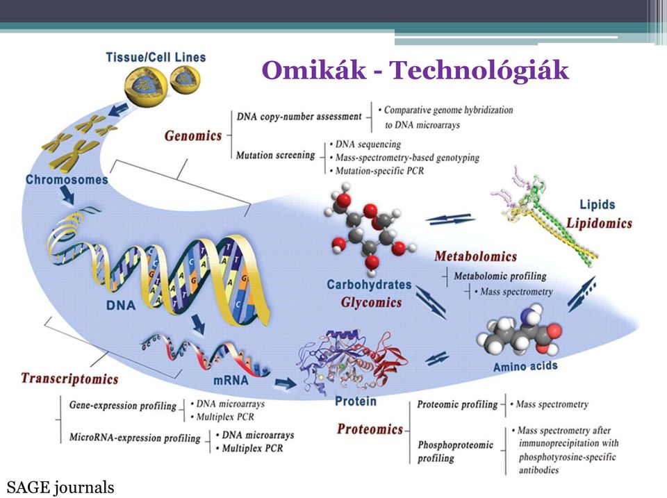 Omikák -