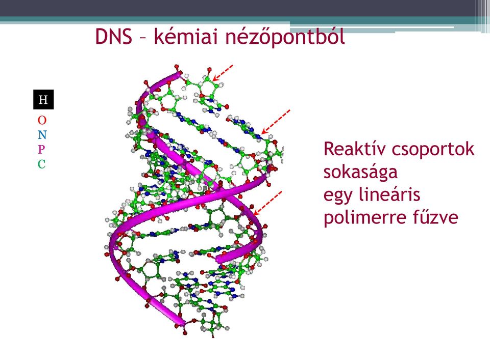 csoportok sokasága