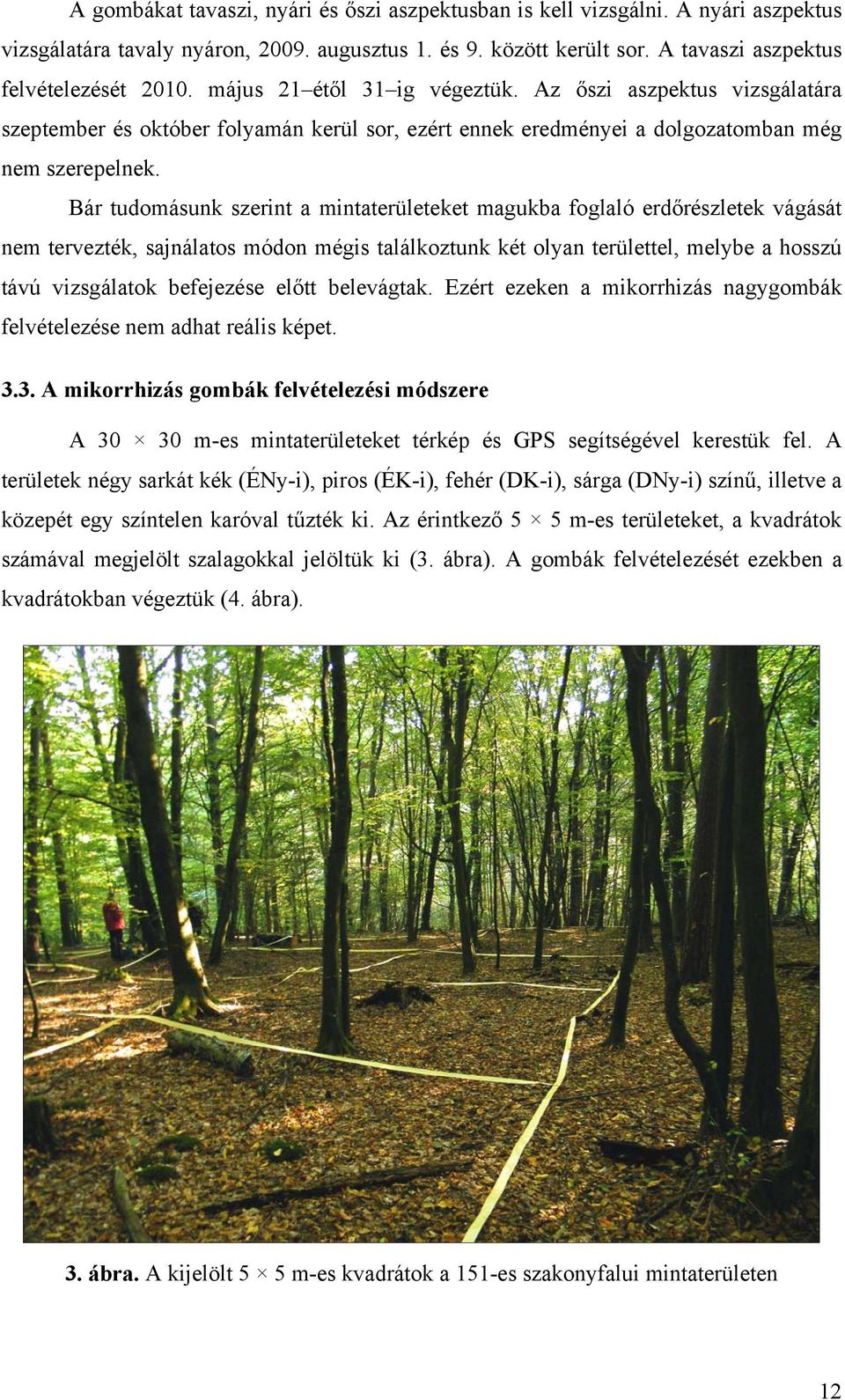 Bár tudomásunk szerint a mintaterületeket magukba foglaló erdőrészletek vágását nem tervezték, sajnálatos módon mégis találkoztunk két olyan területtel, melybe a hosszú távú vizsgálatok befejezése