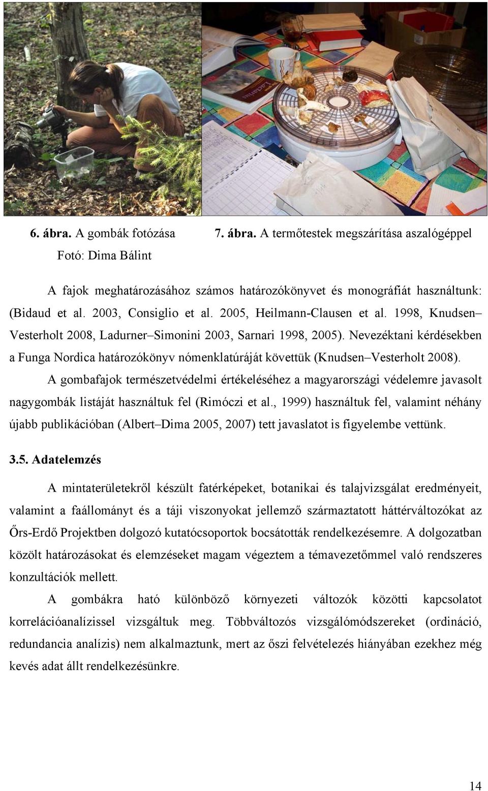 Nevezéktani kérdésekben a Funga Nordica határozókönyv nómenklatúráját követtük (Knudsen Vesterholt 2008).