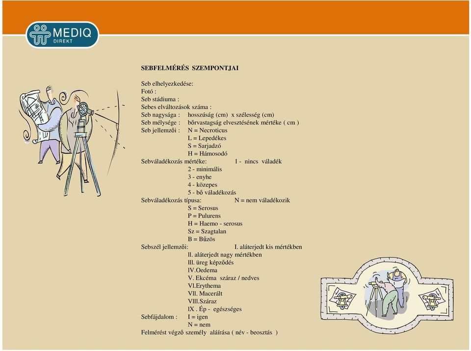 Sebváladékozás típusa: Sebszél jellemzői: S = Serosus P = Pulurens H = Haemo - serosus Sz = Szagtalan B = Bűzös N = nem váladékozik I. aláterjedt kis mértékben ll.