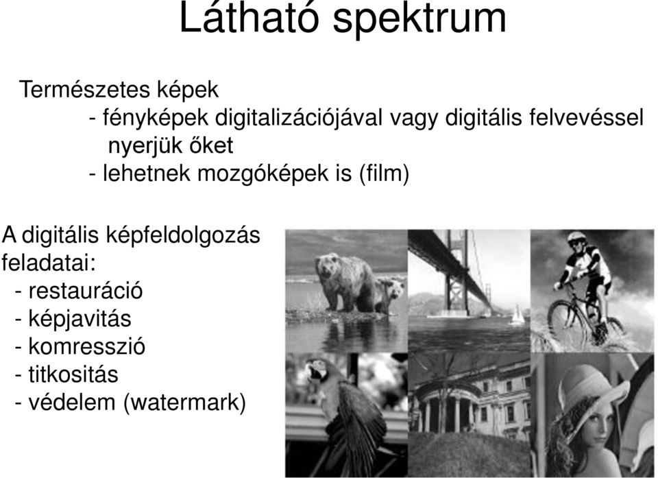 lehetnek mozgóképek is (film) A digitális képfeldolgozás