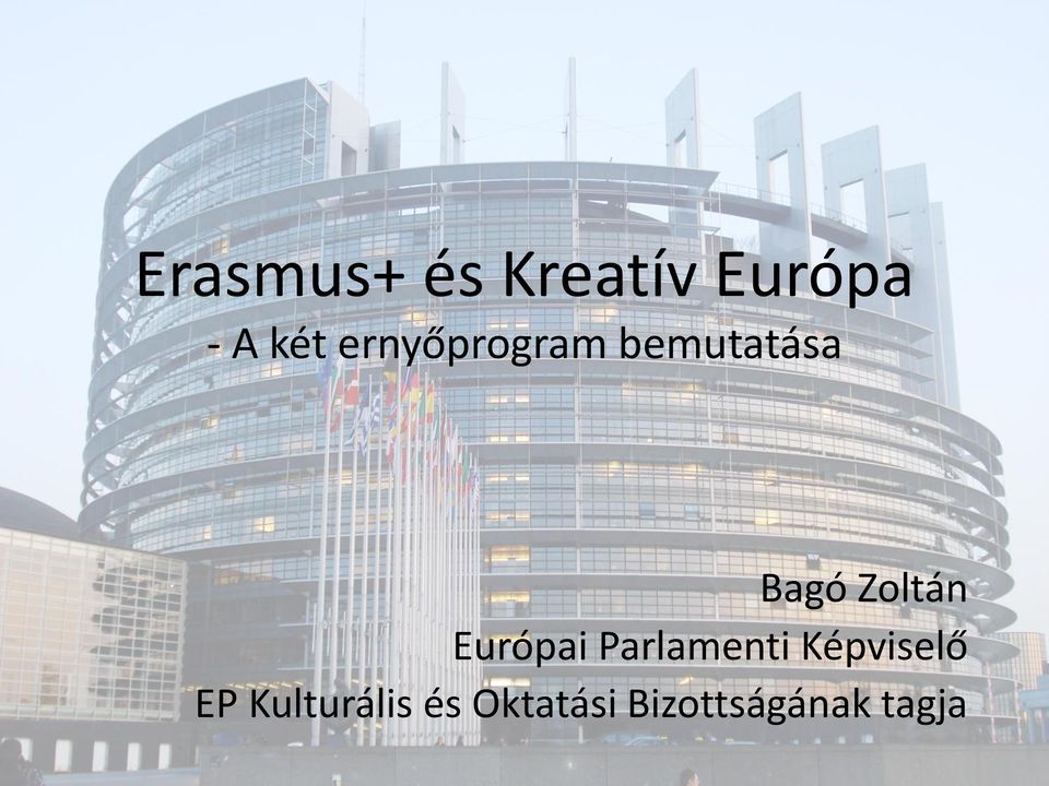 Európai Parlamenti Képviselő EP