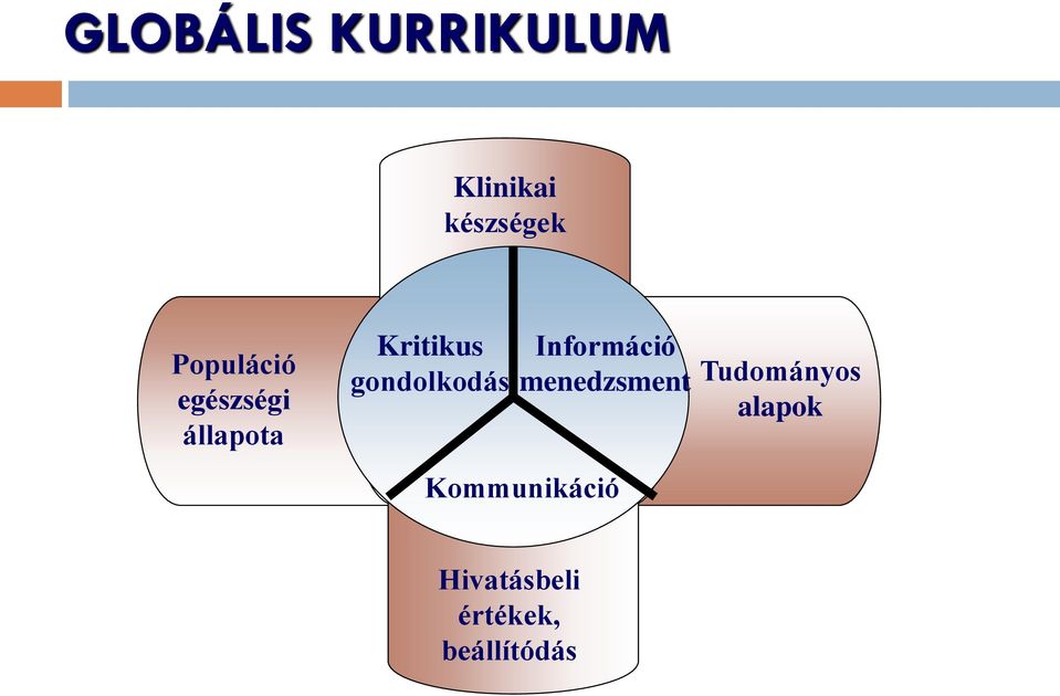 gondolkodás Információ menedzsment