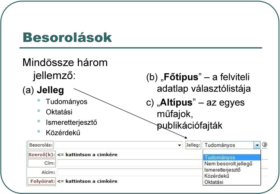 Közérdekű (b) Főtípus a felviteli adatlap