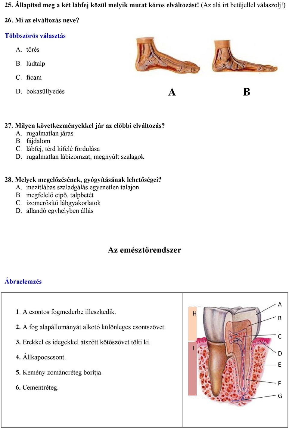 Melyek megelőzésének, gyógyításának lehetőségei? A. mezítlábas szaladgálás egyenetlen talajon B. megfelelő cipő, talpbetét C. izomerősítő lábgyakorlatok D.