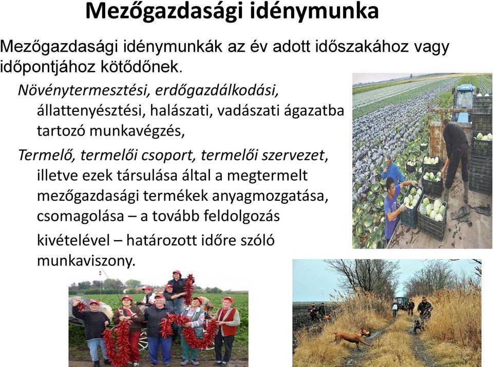 munkavégzés, Termelő, termelői csoport, termelői szervezet, illetve ezek társulása által a megtermelt