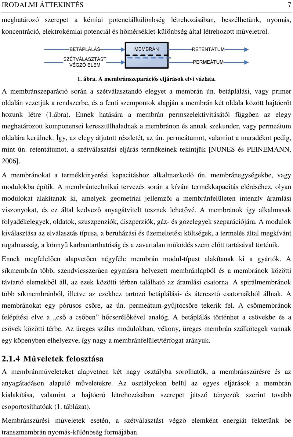 betáplálási, vagy primer oldalán vezetjük a rendszerbe, és a fenti szempontok alapján a membrán két oldala között hajtóerıt hozunk létre (1.ábra).