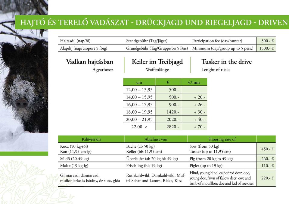 - Vadkan hajtásban Keiler im Treibjagd Tusker in the drive Agyarhossz Waffenlänge Lenght of tusks cm /mm 12,00 13,95 500.- 14,00 15,95 500.- + 20.- 16,00 17,95 900.- + 26.- 18,00 19,95 1420.- + 30.