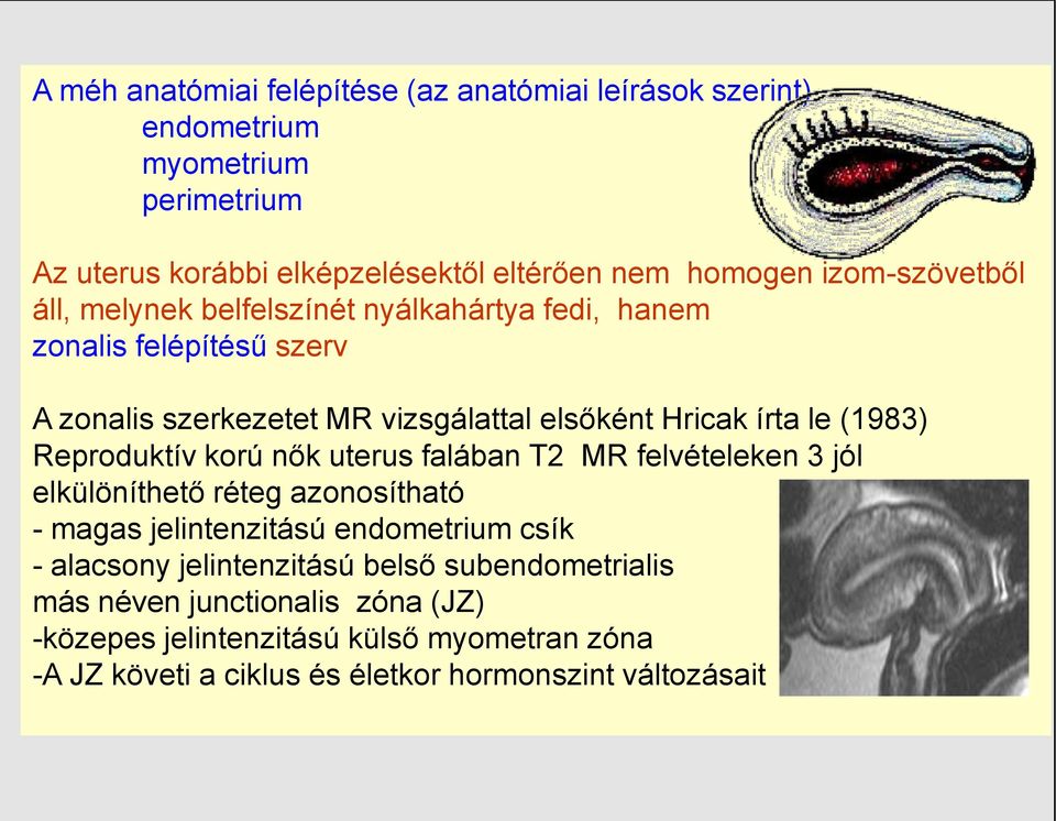 (1983) Reproduktív korú nők uterus falában T2 MR felvételeken 3 jól elkülöníthető réteg azonosítható - magas jelintenzitású endometrium csík - alacsony