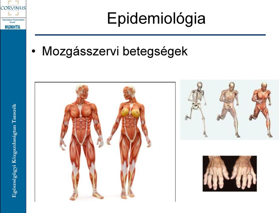 ízületi betegségben szenvedő beteg gondozásának jellemzői