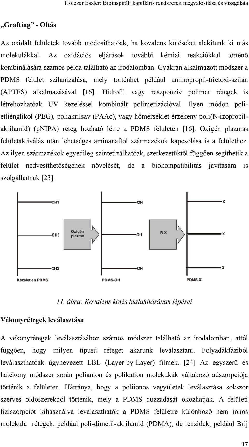 Gyakran alkalmazott módszer a PDMS felület szilanizálása, mely történhet például aminopropil-trietoxi-szilán (APTES) alkalmazásával [16].