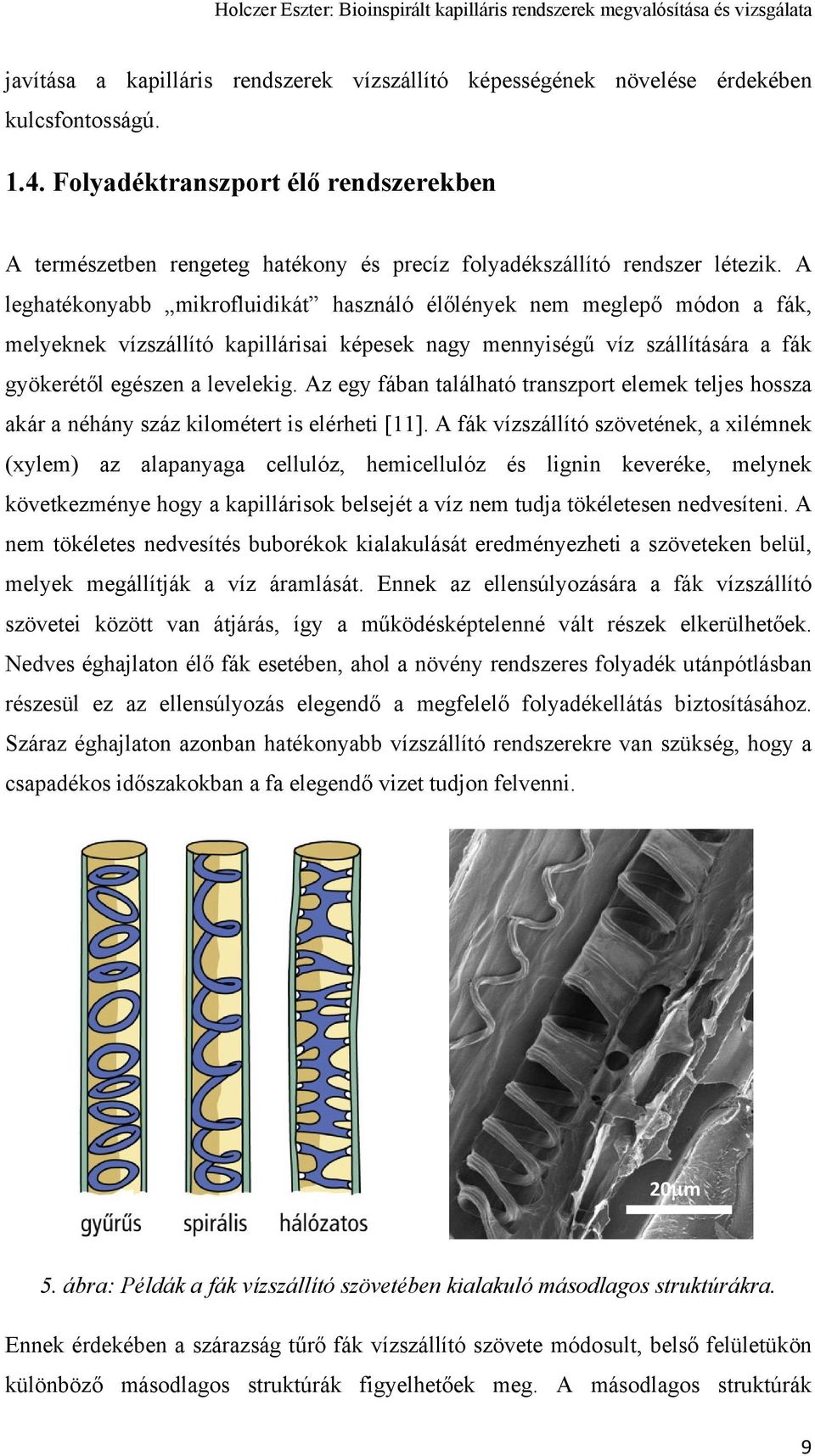 A leghatékonyabb mikrofluidikát használó élőlények nem meglepő módon a fák, melyeknek vízszállító kapillárisai képesek nagy mennyiségű víz szállítására a fák gyökerétől egészen a levelekig.