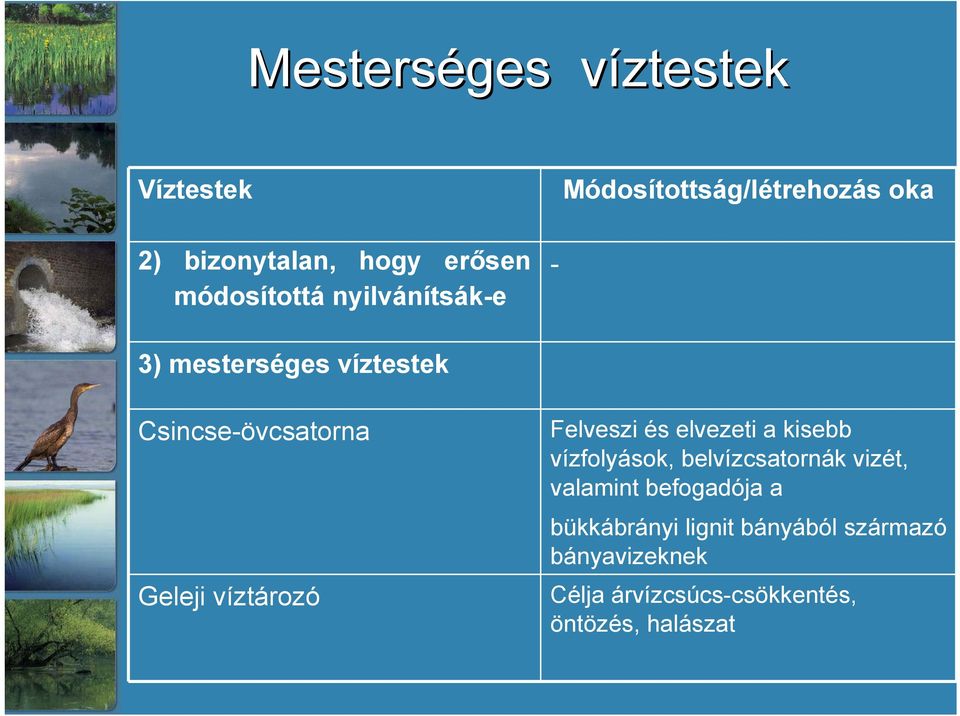 Felveszi és elvezeti a kisebb vízfolyások, belvízcsatornák vizét, valamint befogadója a