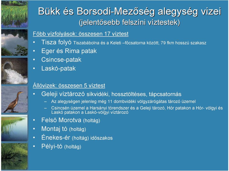 hossztöltéses, tápcsatornás Az alegységen jelenleg még 11 dombvidéki völgyzárógátas tározó üzemel Csincsén üzemel a Harsányi tórendszer és a Geleji