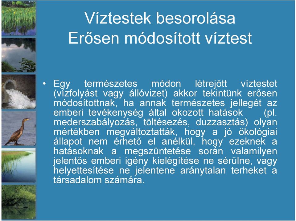 mederszabályozás, töltésezés, duzzasztás) olyan mértékben megváltoztatták, hogy a jó ökológiai állapot nem érhető el anélkül, hogy