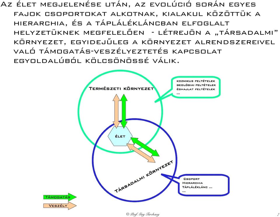 megfelelően - létrejön a társadalmi környezet, egyidejűleg a környezet