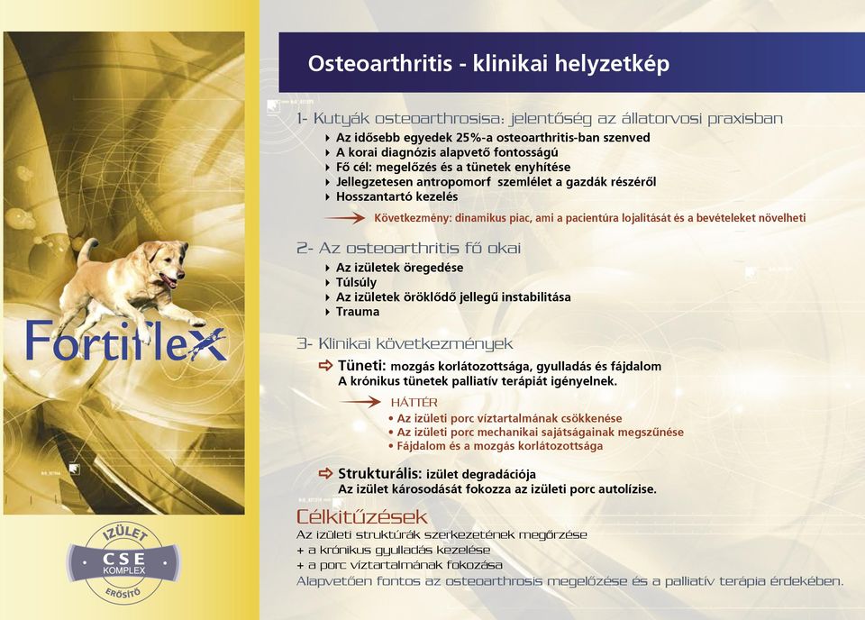 növelheti 2- Az osteoarthritis fő okai 4 Az izületek öregedése 4 Túlsúly 4 Az izületek öröklődő jellegű instabilitása 4 Trauma 3- Klinikai következmények Tüneti: mozgás korlátozottsága, gyulladás és