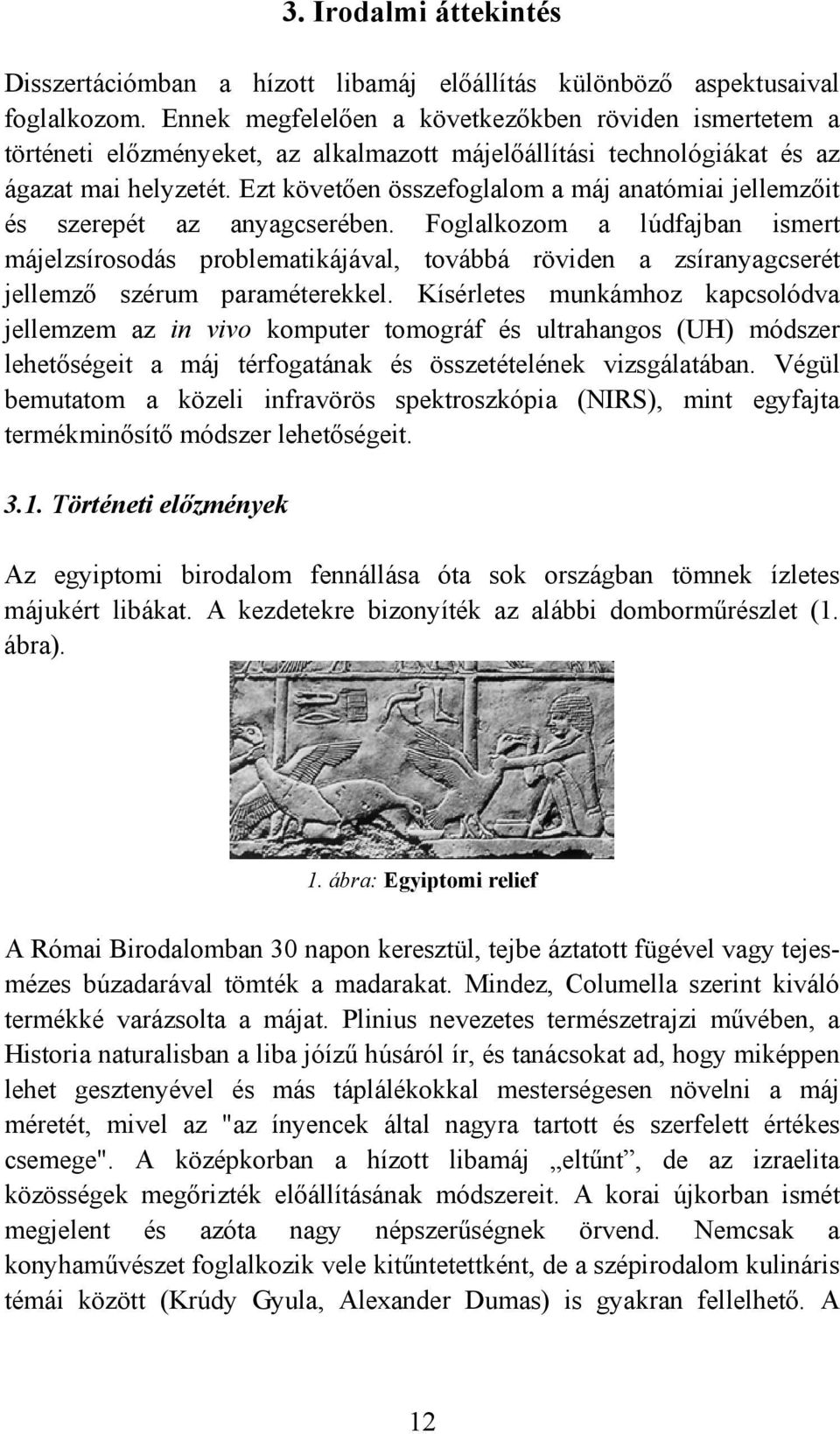 Ezt követően összefoglalom a máj anatómiai jellemzőit és szerepét az anyagcserében.