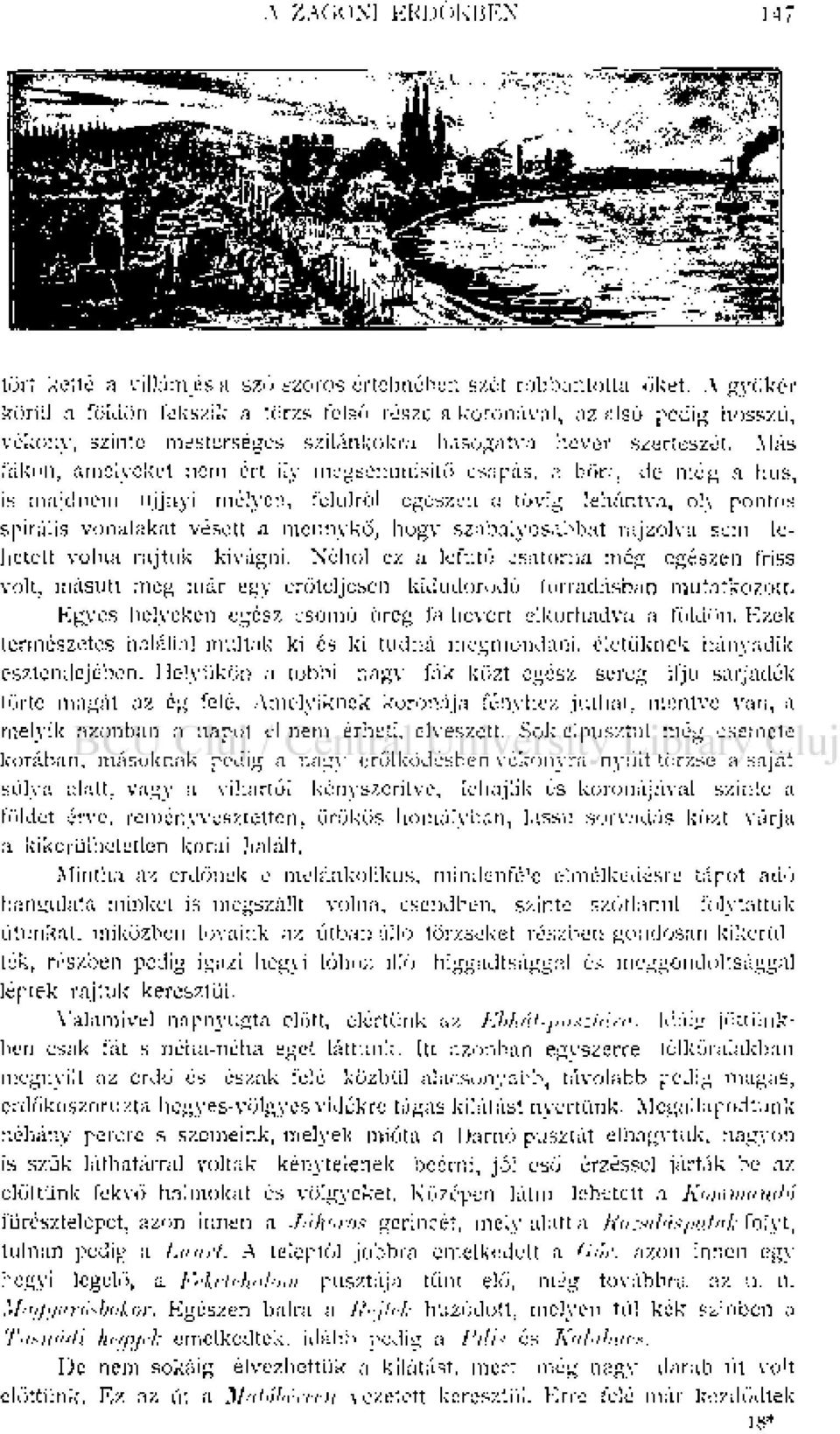 Más fákon, amelyeket nem ért ily megsemmisítő csapás, a bört, de még a hus, is majdnem ujjnyi mélyen, felülről egészen a tövig lehántva, oly pontos spirális vonalakat vésett a mennykő, hogy