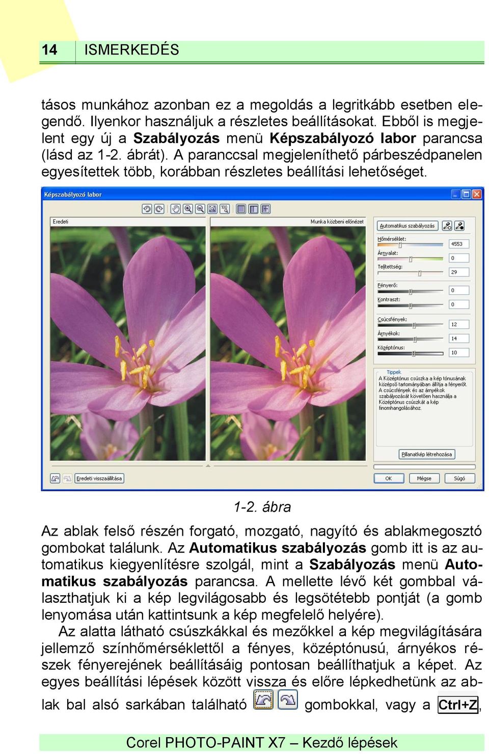 A paranccsal megjeleníthető párbeszédpanelen egyesítettek több, korábban részletes beállítási lehetőséget. 1-2. ábra Az ablak felső részén forgató, mozgató, nagyító és ablakmegosztó gombokat találunk.