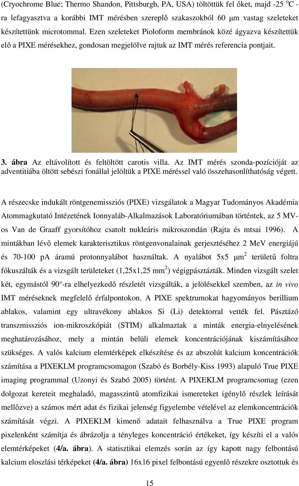 Az IMT mérés szonda-pozícióját az adventitiába öltött sebészi fonállal jelöltük a PIXE méréssel való összehasonlíthatóság végett.