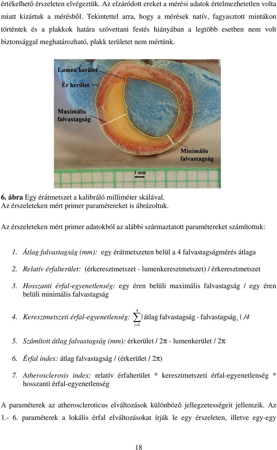 mértünk. 6. ábra Egy érátmetszet a kalibráló milliméter skálával. Az érszeleteken mért primer paramétereket is ábrázoltuk.