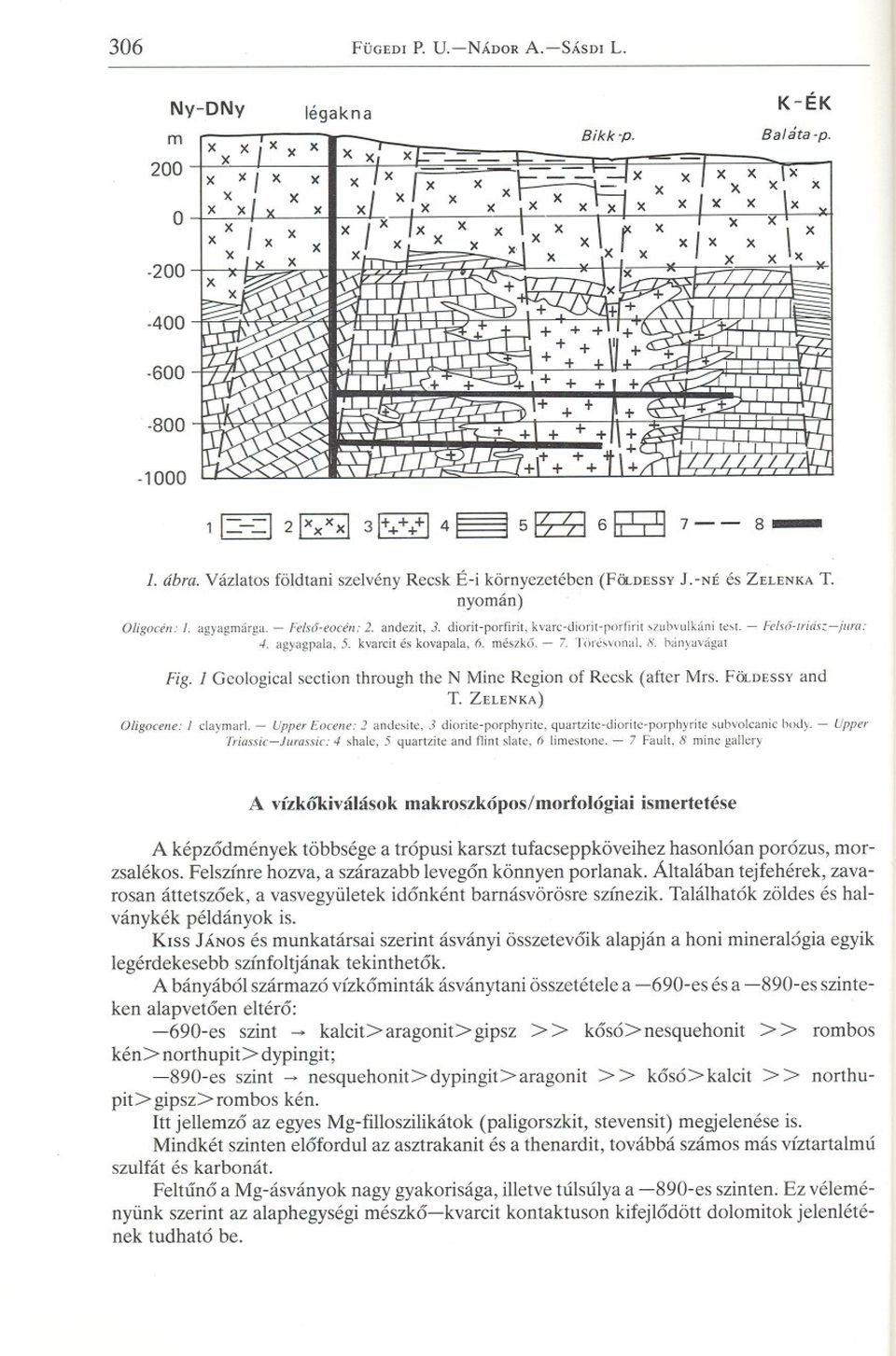 mészko. - 7. TÖrésvonal. 8. oanyavágat Fig. 1 Geological section through the N Mine Region of Recsk (after Mrs. FÖLDESSYand T. ZELENKA) Oligocene: 1 claymarl.