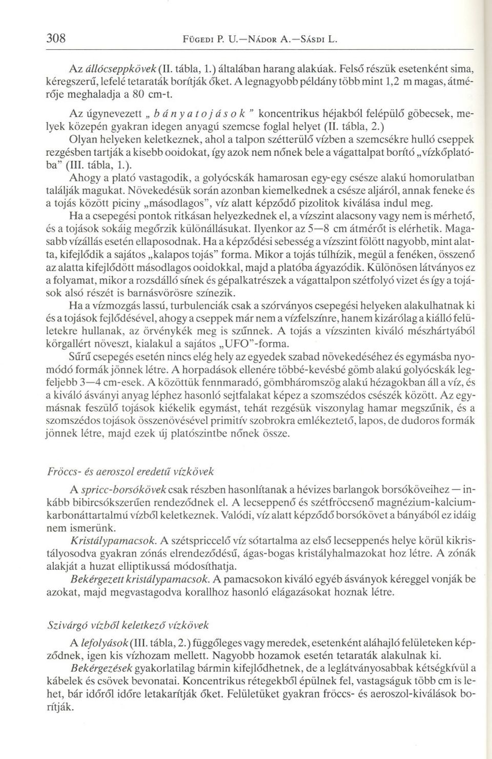 Az úgynevezett" bán y a to já sok" koncentrikus héjakból felépülo göbecsek, melyek közepén gyakran idegen anyagú szemcse foglal helyet (II. tábla, 2.