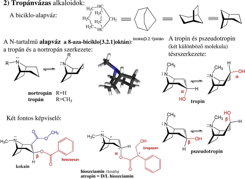 1]oktán): a tropán és a nortropán szerkezete: R R A tropin és