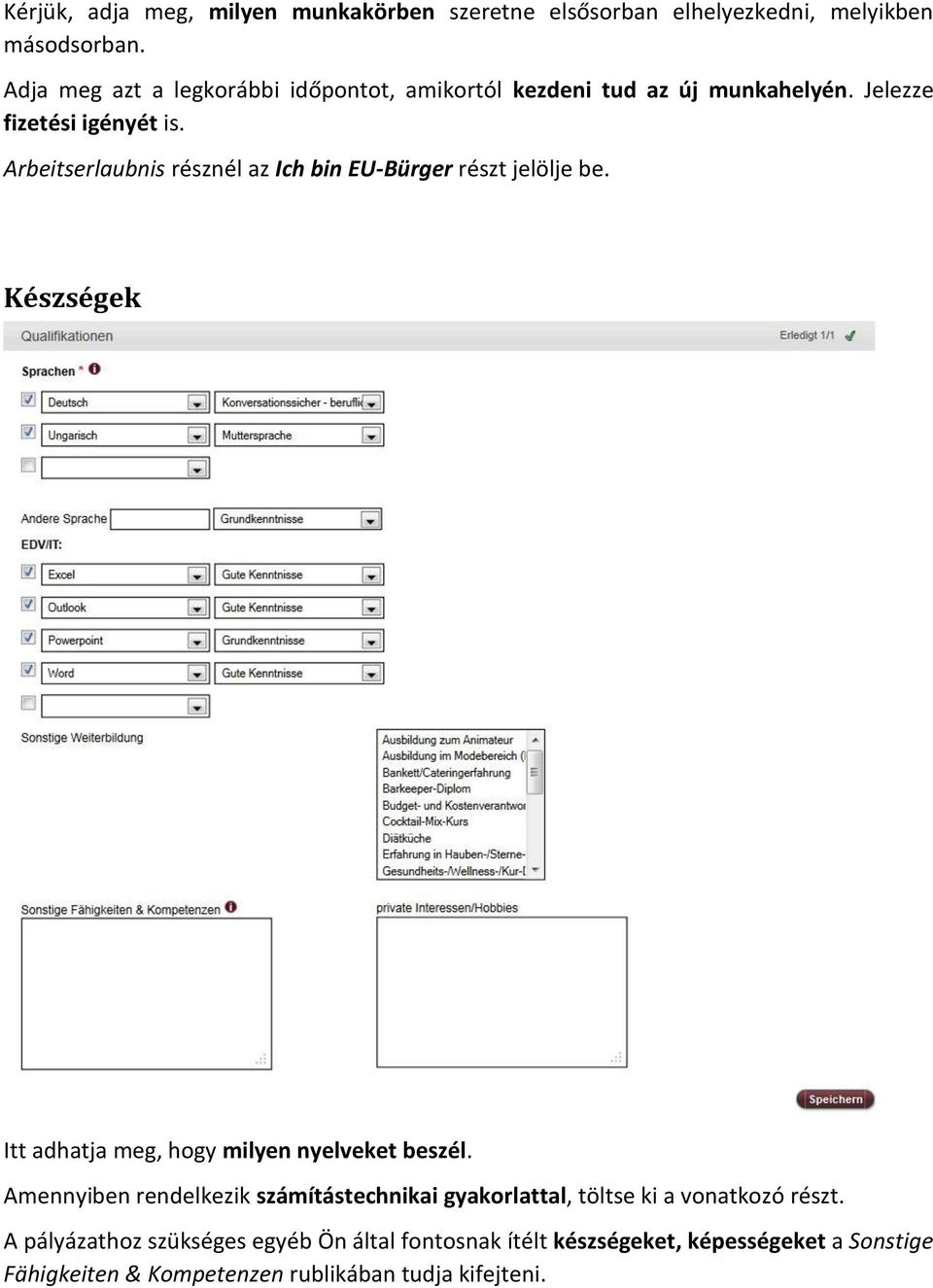 Arbeitserlaubnis résznél az Ich bin EU-Bürger részt jelölje be. Készségek Itt adhatja meg, hogy milyen nyelveket beszél.