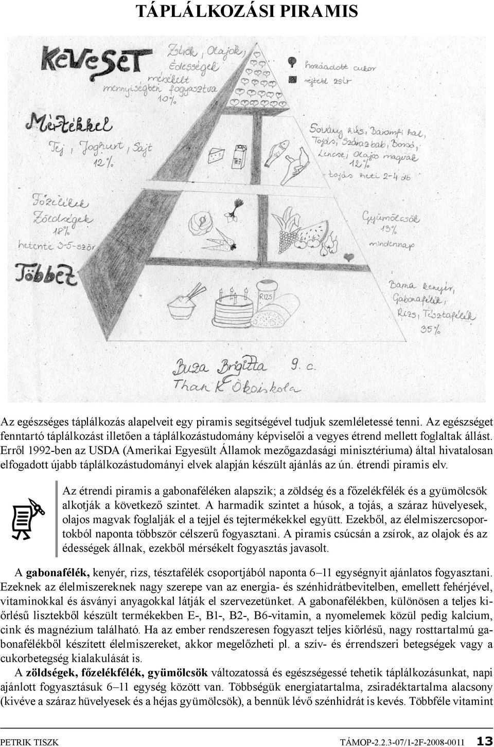 Erről 1992-ben az USDA (Amerikai Egyesült Államok mezőgazdasági minisztériuma) által hivatalosan elfogadott újabb táplálkozástudományi elvek alapján készült ajánlás az ún. étrendi piramis elv.