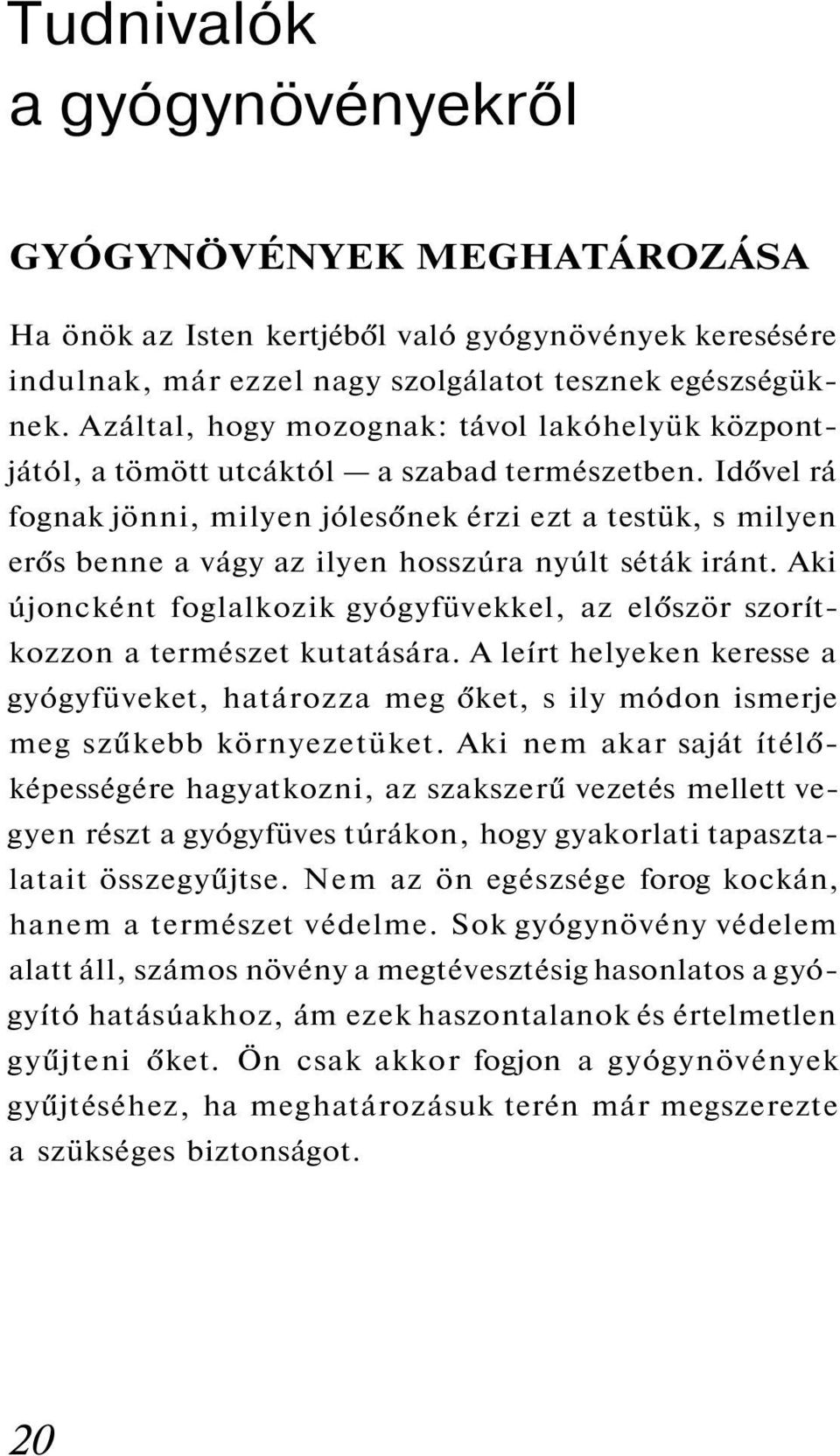 Idővel rá fognak jönni, milyen jólesőnek érzi ezt a testük, s milyen erős benne a vágy az ilyen hosszúra nyúlt séták iránt.