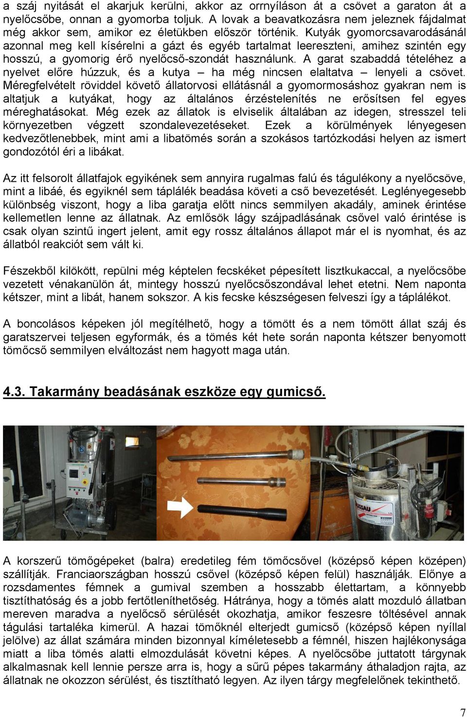 Kutyák gyomorcsavarodásánál azonnal meg kell kísérelni a gázt és egyéb tartalmat leereszteni, amihez szintén egy hosszú, a gyomorig érő nyelőcső-szondát használunk.