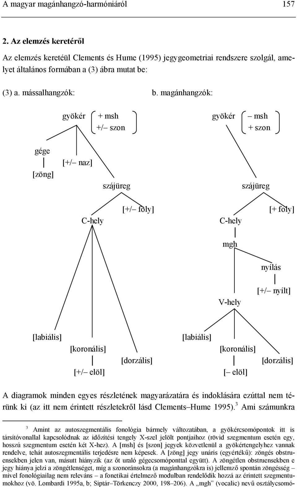 magánhangzók: gyökér + msh gyökér msh +/ szon + szon gége [zöng] [+/ naz] szájüreg szájüreg C-hely [+/ foly] [+ foly] C-hely mgh V-hely nyílás [+/ nyílt] [labiális] [labiális] [koronális] [koronális]