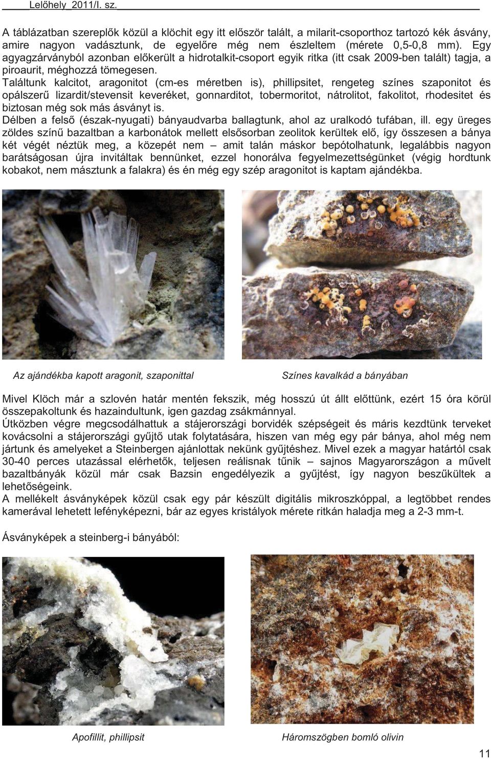 Találtunk kalcitot, aragonitot (cm-es méretben is), phillipsitet, rengeteg színes szaponitot és opálszer lizardit/stevensit keveréket, gonnarditot, tobermoritot, nátrolitot, fakolitot, rhodesitet és