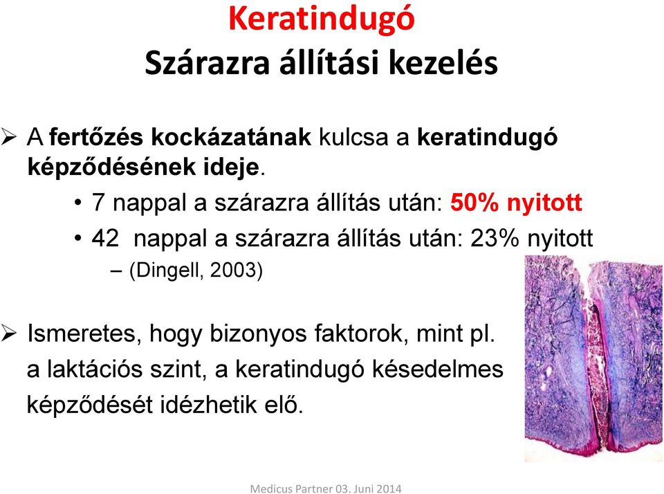 7 nappal a szárazra állítás után: 50% nyitott 42 nappal a szárazra állítás után: